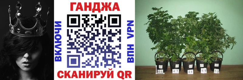 Купить закладку Alpha-PVP  Псилоцибиновые грибы  COCAIN  ГАШИШ  МАРИХУАНА  МЕФ  Отрадная